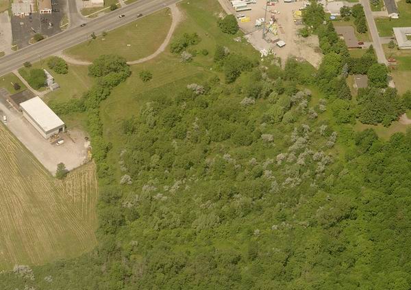 Auto Theatre - Live Search3 (newer photo)